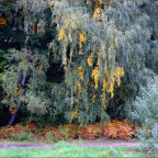 Herbst in Velvia