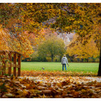 Grüttpark in Lörrach (D)