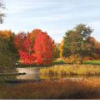 Der Britzer Garten Berlin