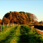 mehr Herbstfarben