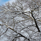 Winter in Berlin