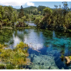 Pupu Springs, Neuseeland