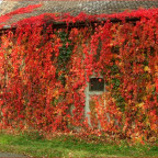 Roter Oktober